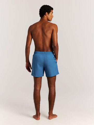 PROTEST Badeshorts 'Davey'‌‌‌‌‌‌ in Blau