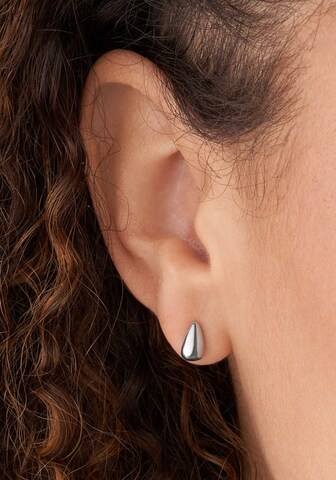 SKAGEN Earrings in Silver