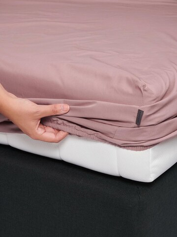 ESSENZA Bed Sheet in Pink
