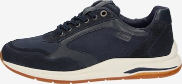 SIOUX Sneakers laag 'Turibio-711-J' in Blauw