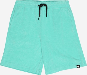 Abercrombie & Fitch Pants 'TERRY' in Green: front