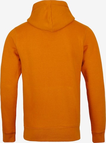 Petrol Industries Sweatshirt in Oranje