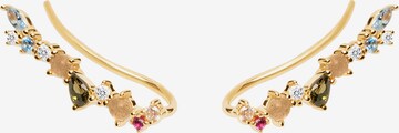 P D PAOLA Earrings 'Euphoria' in Gold: front