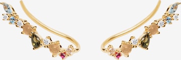 P D PAOLA Earrings 'Euphoria' in Gold: front
