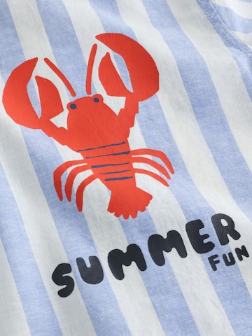 Next Regular Fit Skjorte i blå