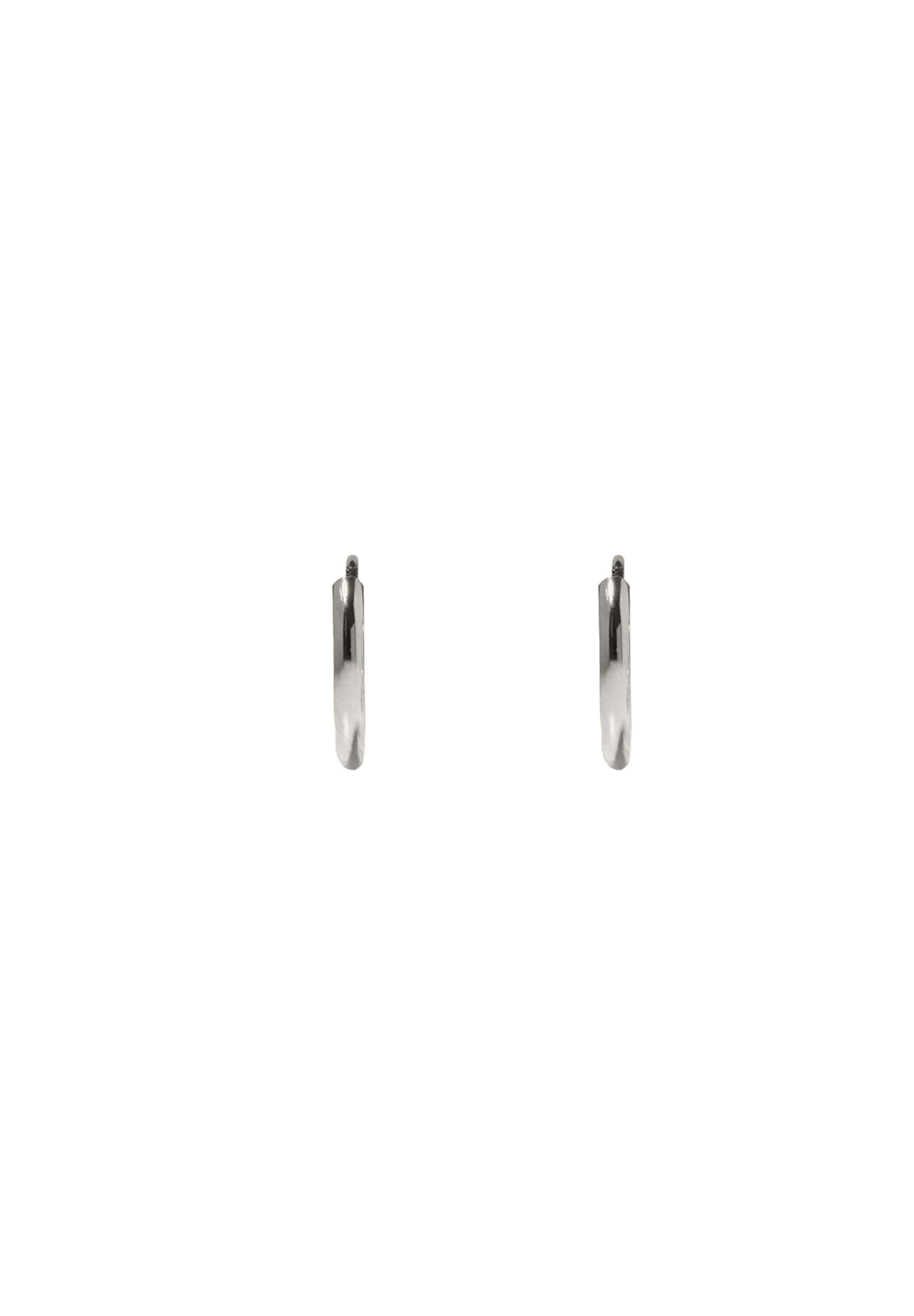 Stilnest Earrings in Silver