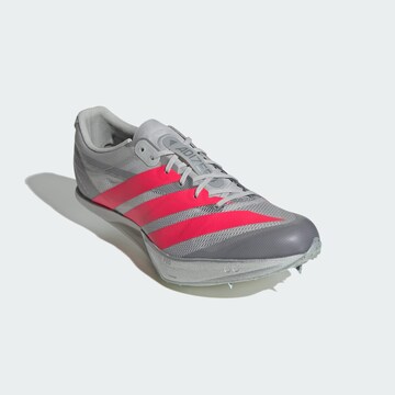 ADIDAS PERFORMANCE Loopschoen 'Adizero Prime SP 4' in Grijs