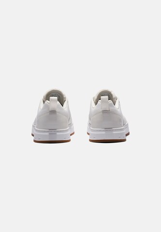 TIMBERLAND Låg sneaker 'Maple Grove' i vit