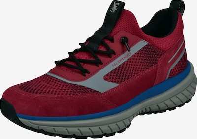 SALAMANDER Niske tenisice u siva / crvena, Pregled proizvoda