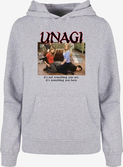 ABSOLUTE CULT Sweatshirt 'Friends - Unagi' in braun / hellgrau / orange / schwarz, Produktansicht