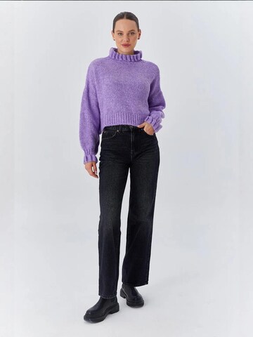 Pullover di MixRay in lilla