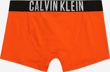 Calvin Klein Underwear Regularen Spodnjice 'Intense Power' | oranžna barva
