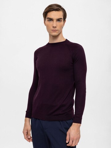 Antioch Sweater in Purple: front