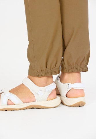 Whistler Regular Sports trousers 'Vera' in Brown