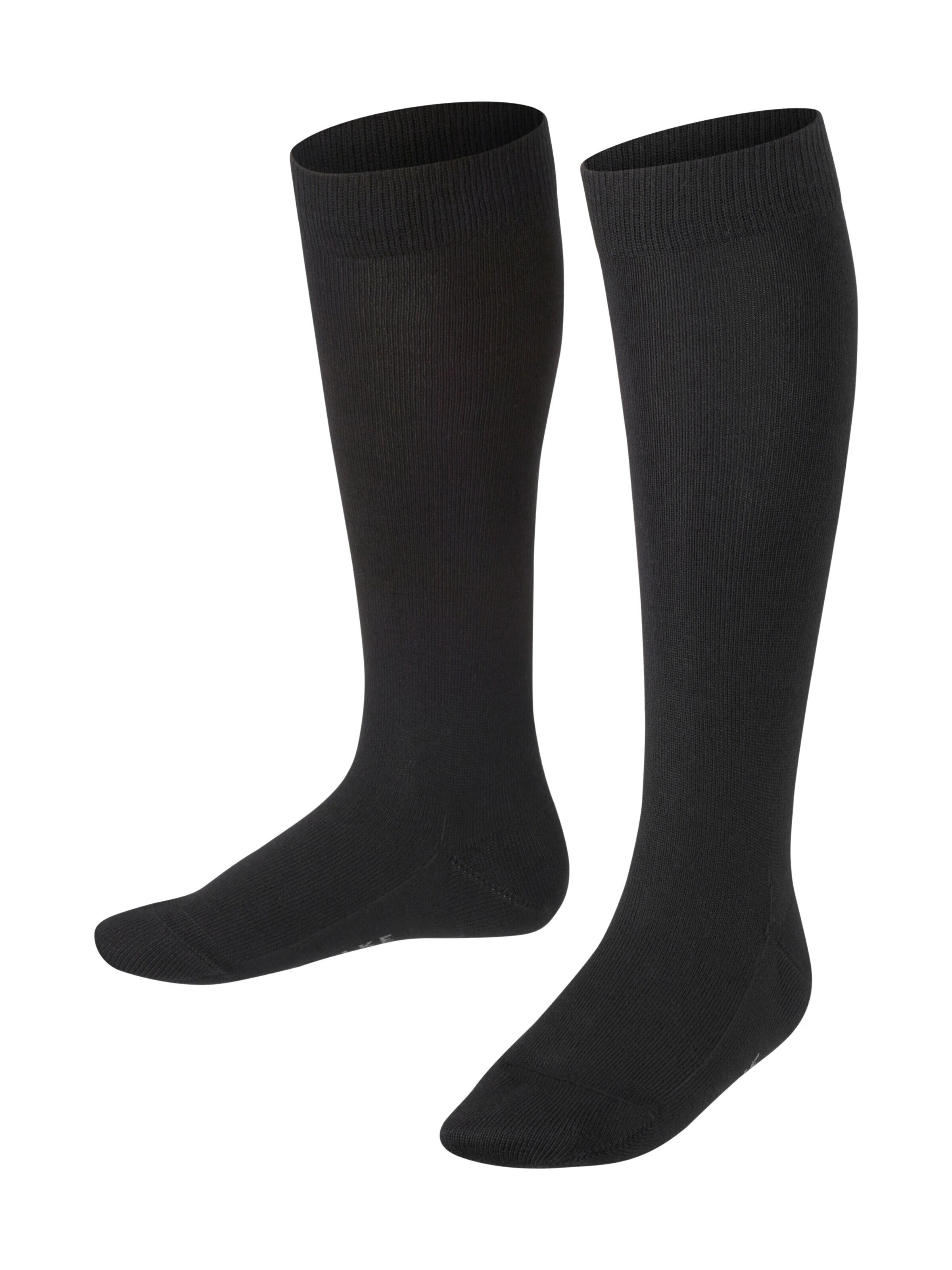 FALKE Socks 'Family' in Black: front