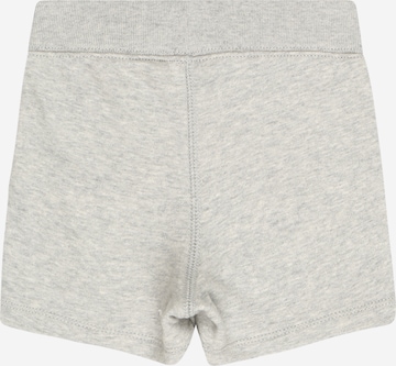 GAP Regular Shorts in Grau