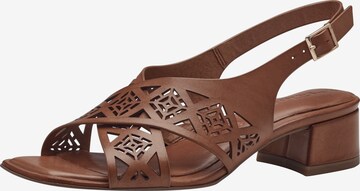 TAMARIS Sandals in Brown: front