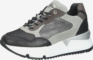 Sneaker bassa di BULLBOXER in grigio: frontale