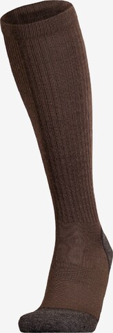 UphillSport Athletic Socks 'AAREA' in Brown: front