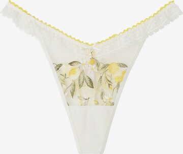 INTIMISSIMI Thong 'VACANZE ITALIANE' in White: front