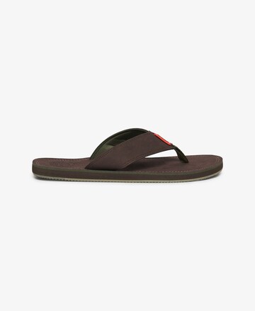 Tongs 'Premium' Superdry en vert