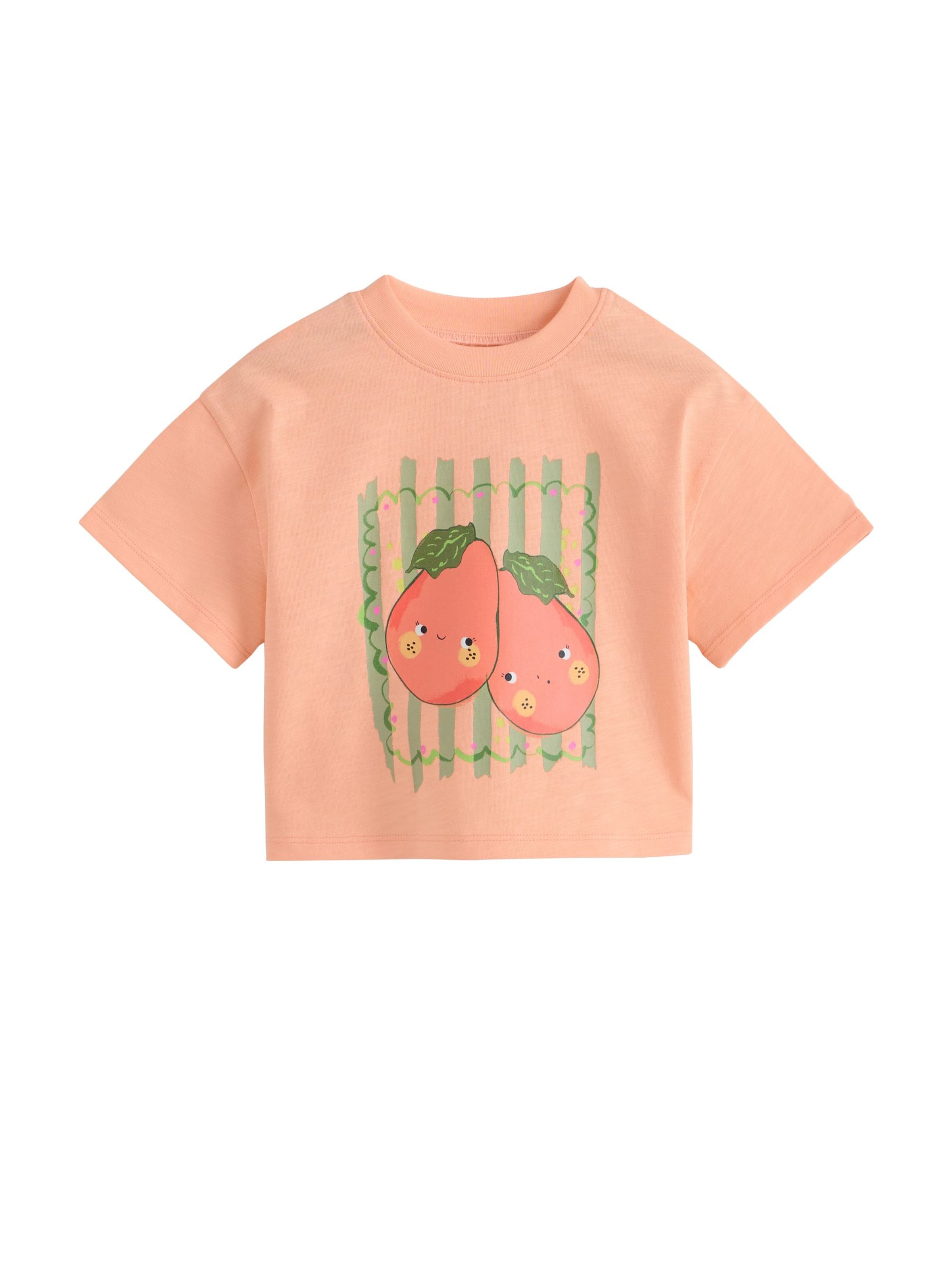 Next T-Shirt in Mischfarben
