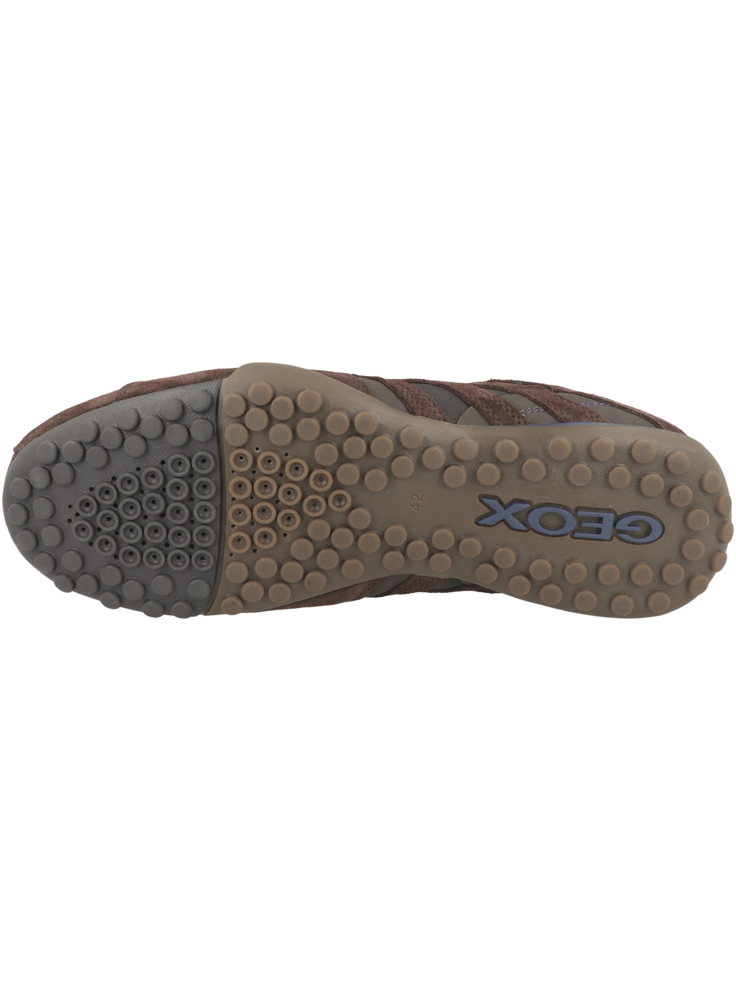 GEOX Sneaker in Braun