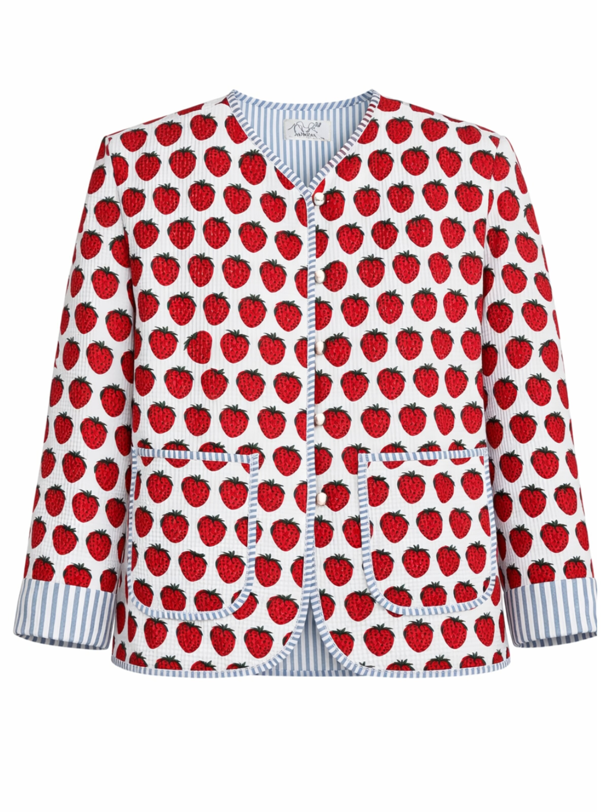 ASHINDIA Between-Season Jacket in Mixed colors: front