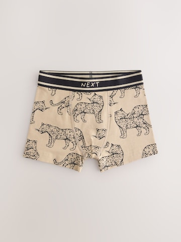 Next Onderbroek in Gemengde kleuren