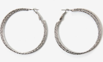 COLLEZIONE ALESSANDRO Earrings 'Aili' in Silver: front