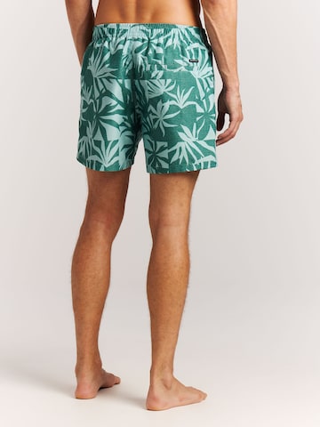 PROTEST Swimming shorts 'PRTPanther' in Blue