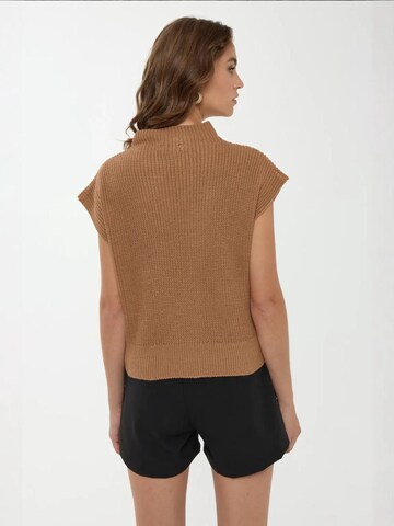 Pullover di Hiccup in marrone