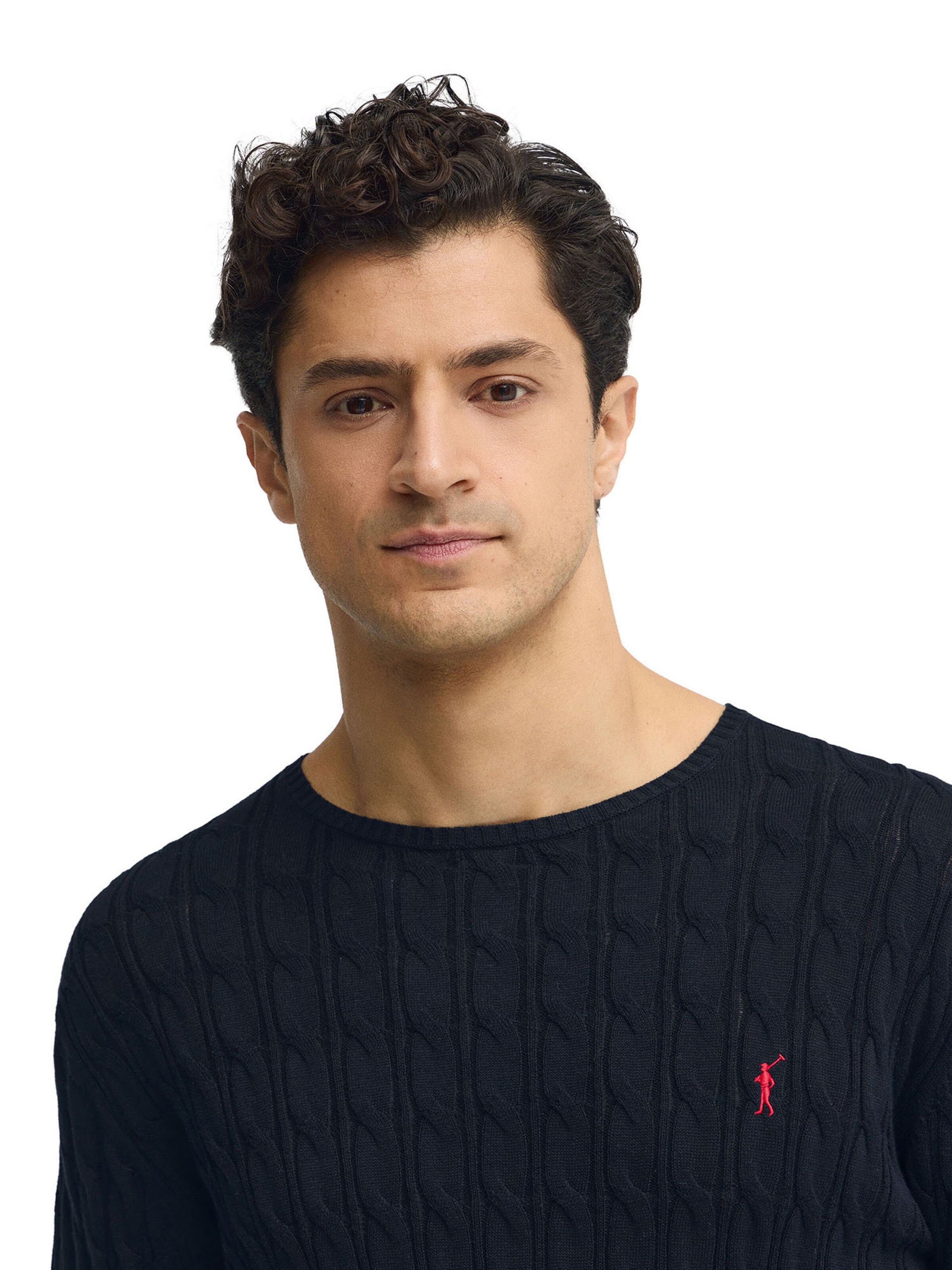 Polo Club Sweater in Blue