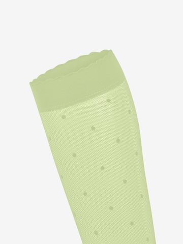 FALKE Over the Knee Socks 'Dot' in Yellow: front