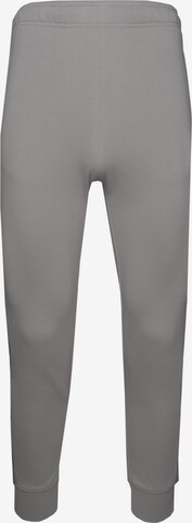 Effilé Pantalon de sport Champion Authentic Athletic Apparel en gris : devant