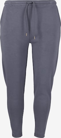 Q by Endurance Tapered Hose in Blau: Vorderseite