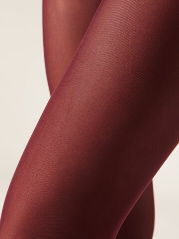 CALZEDONIA Strumpfhose in Pink