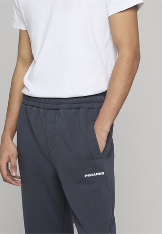 Effilé Pantalon Pegador en bleu