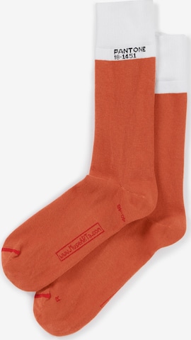 Pantone made by MuseARTa Socks in Orange: front