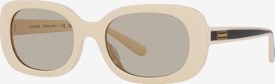 Ochelari de soare COACH pe negru / alb murdar, Vizualizare produs