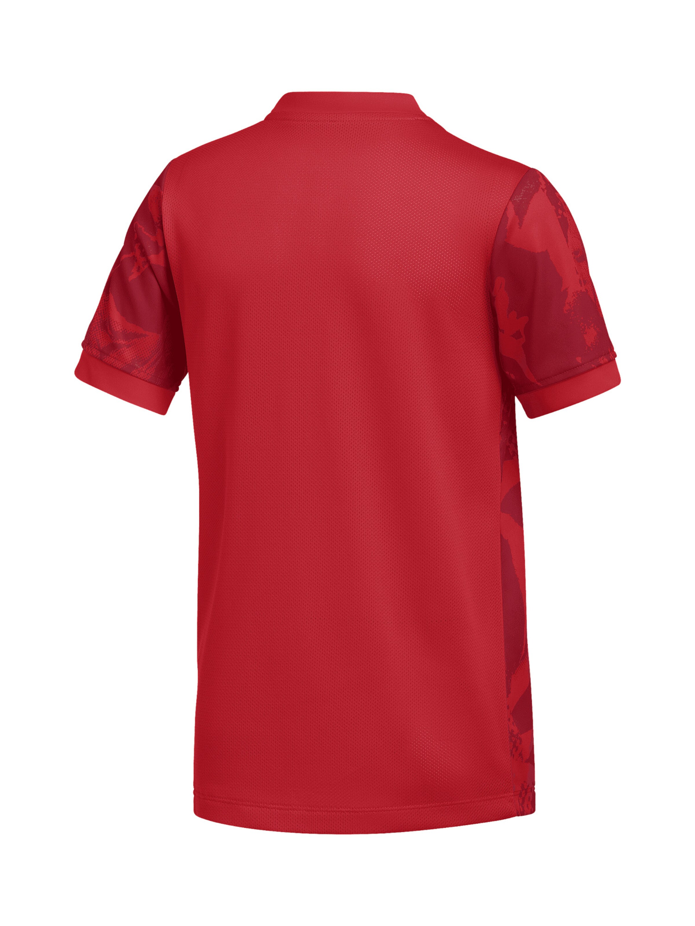 NIKE Funktionsshirt 'Precision VII' in Rot