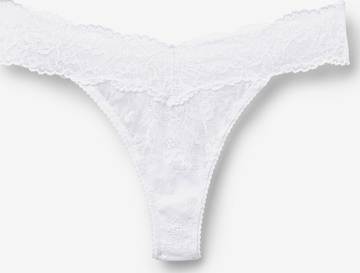 Tezenis Thong in White: front