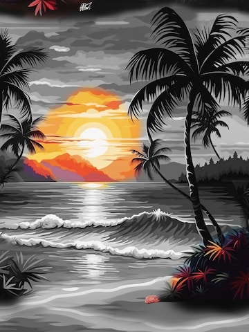 Hawaiihemdshop.de Regularny krój Koszula 'Hawaiihemd Night on Hawaii' w kolorze szary