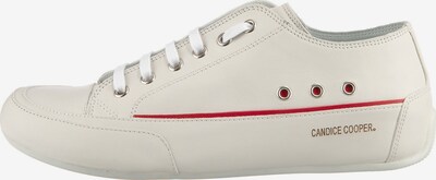 Candice Cooper Sneaker in weiß, Produktansicht