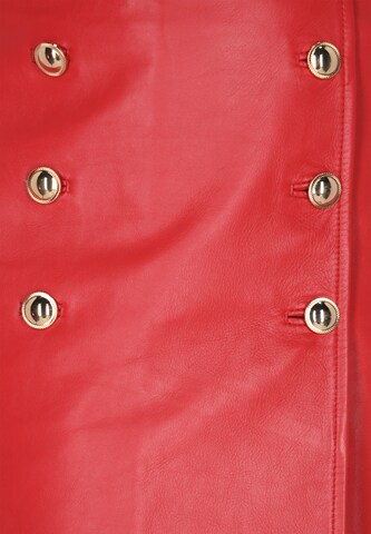 faina Rok in Rood