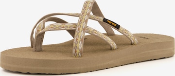 TEVA Zehentrenner ' Olowahu ' in Beige: Vorderseite
