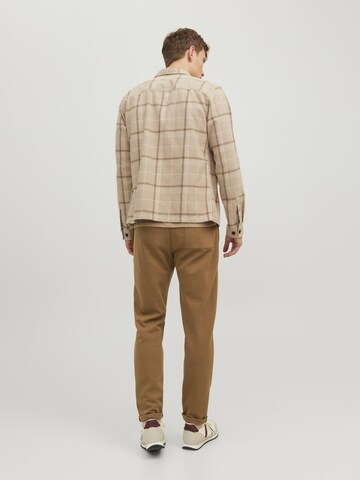 JACK & JONES Regular Broek 'STACE' in Bruin