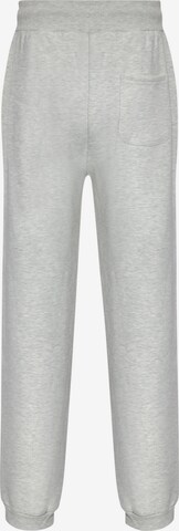 Dropsize Tapered Pants in Grey