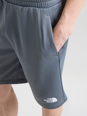 THE NORTH FACE Regularen Športne hlače 'REAXION 2.0' | siva barva