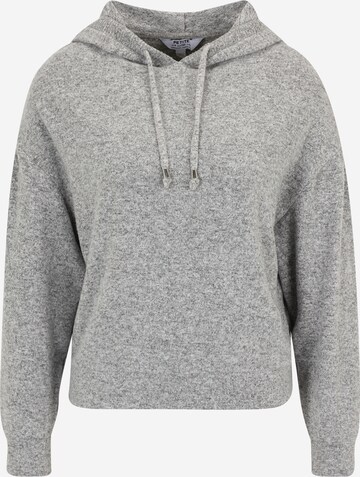 Pull-over Dorothy Perkins Petite en gris : devant